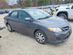Toyota Corolla 2011