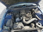 Ford Mustang 2007