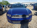 Ford Mustang 2013