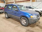 Ford Escape 2007