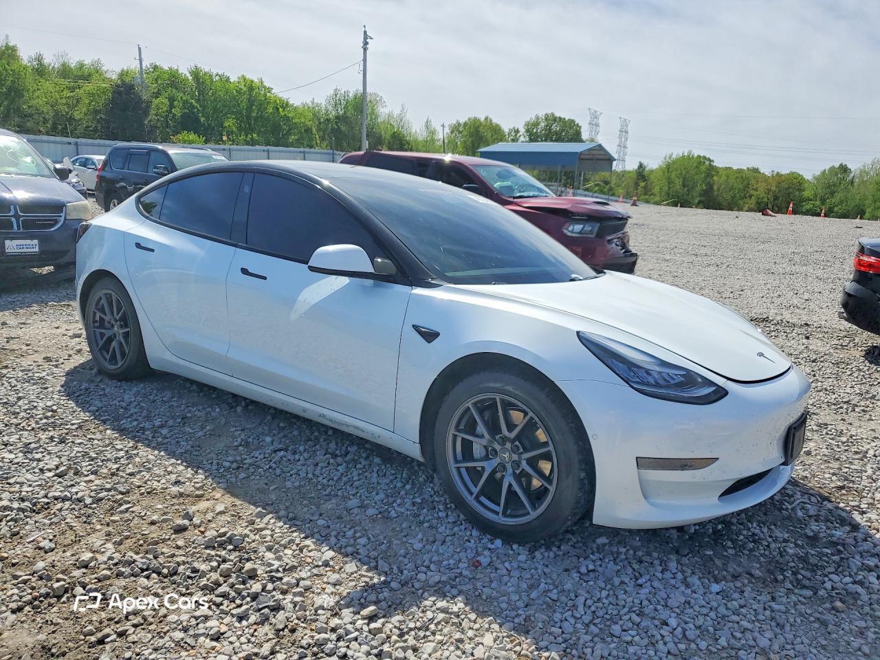 Tesla Model 3 2021