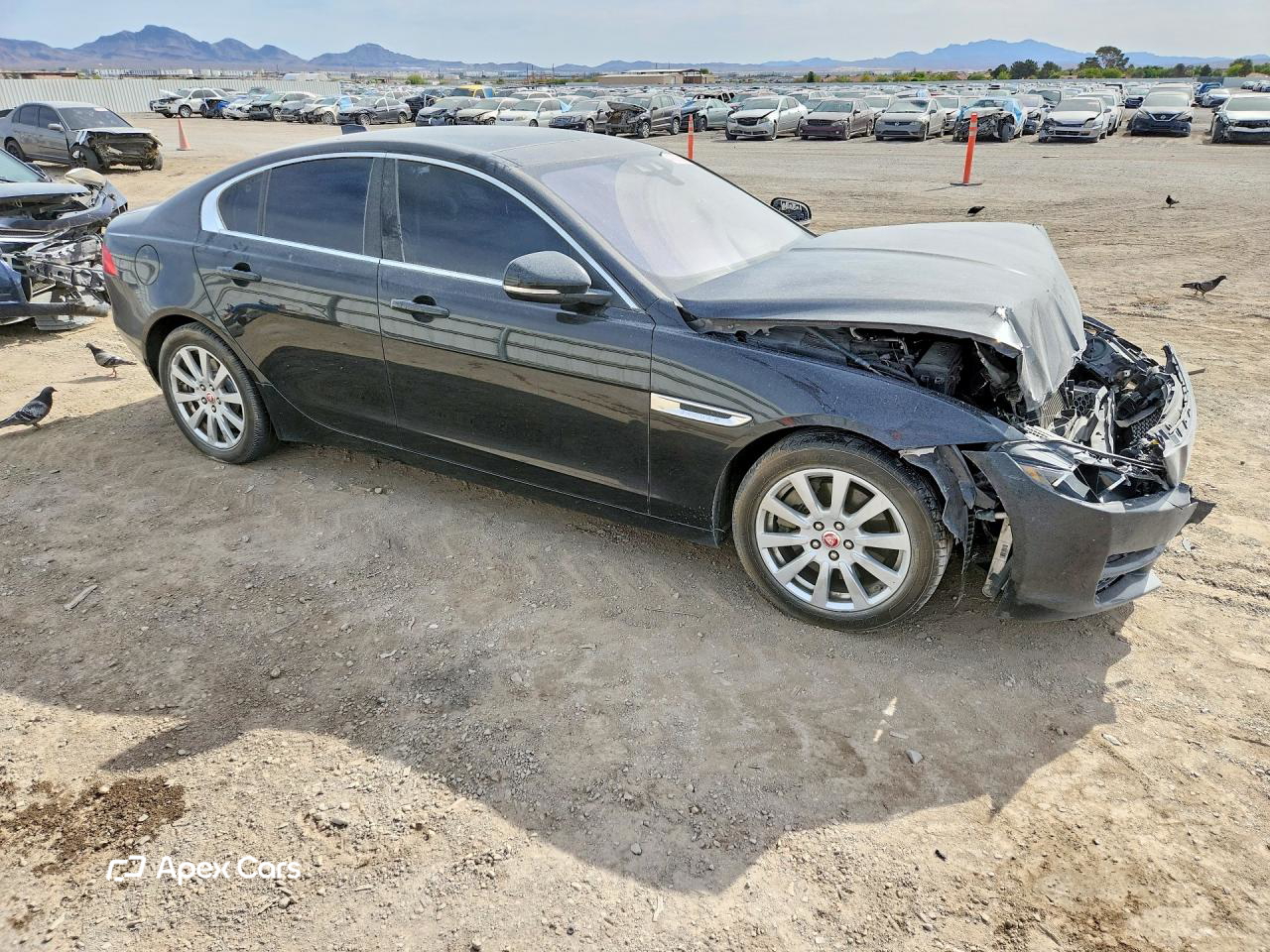 Jaguar XE 2019