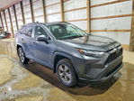 Toyota RAV 4 2024