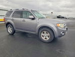 Ford Escape 2008