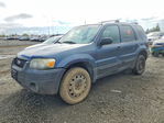 Ford Escape 2005