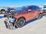 Lexus RX 2023