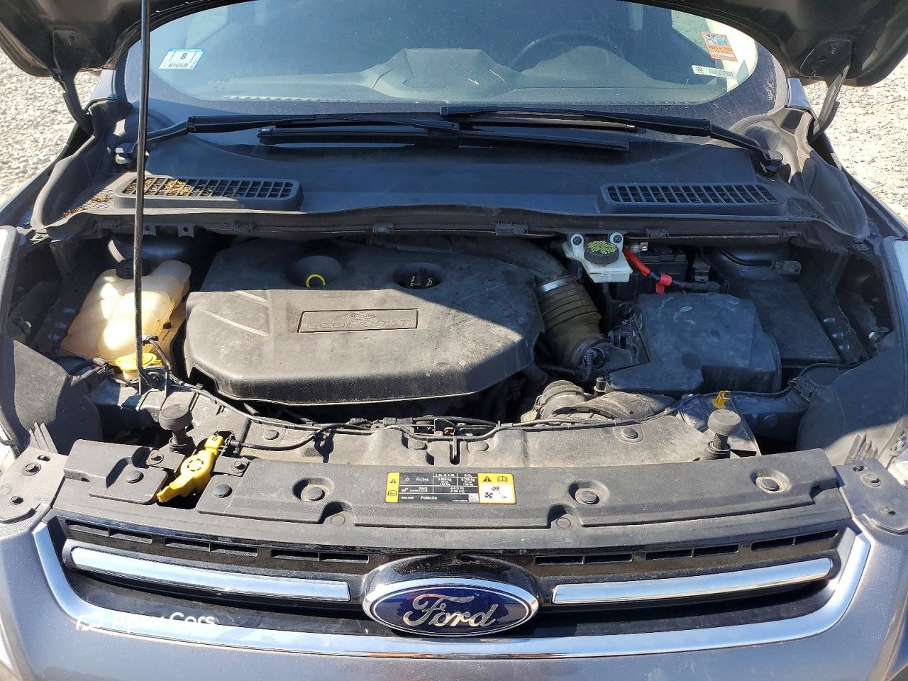 Ford Escape 2014