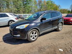 Ford Escape 2013
