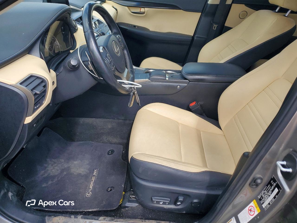 Lexus NX 2019