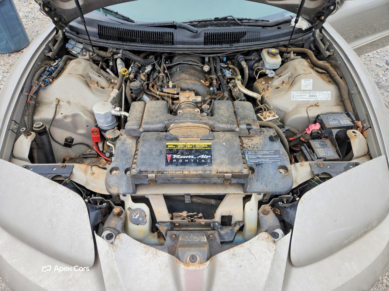 Pontiac Firebird 2002