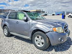 Ford Escape 2008