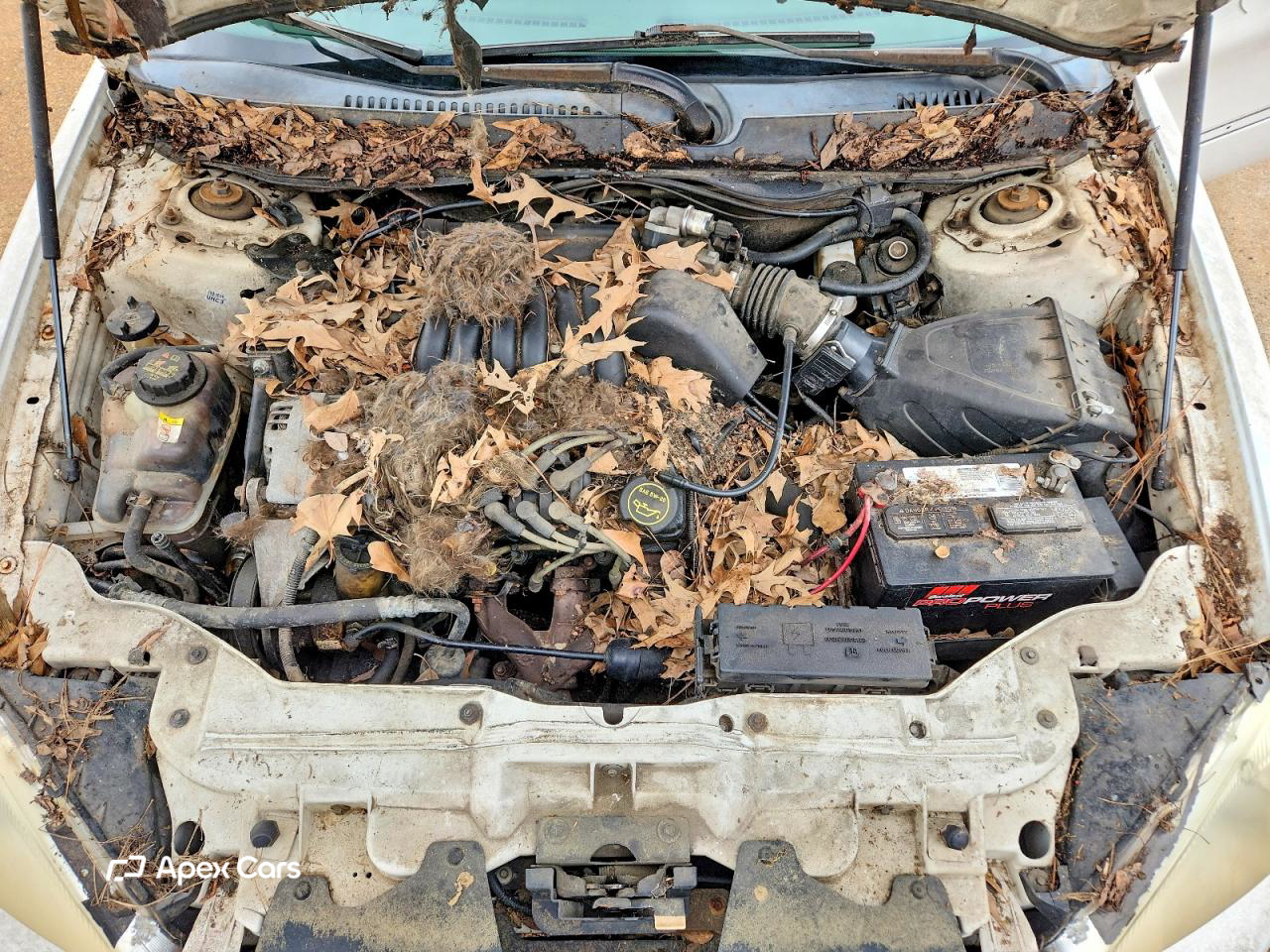 Ford Taurus 2001