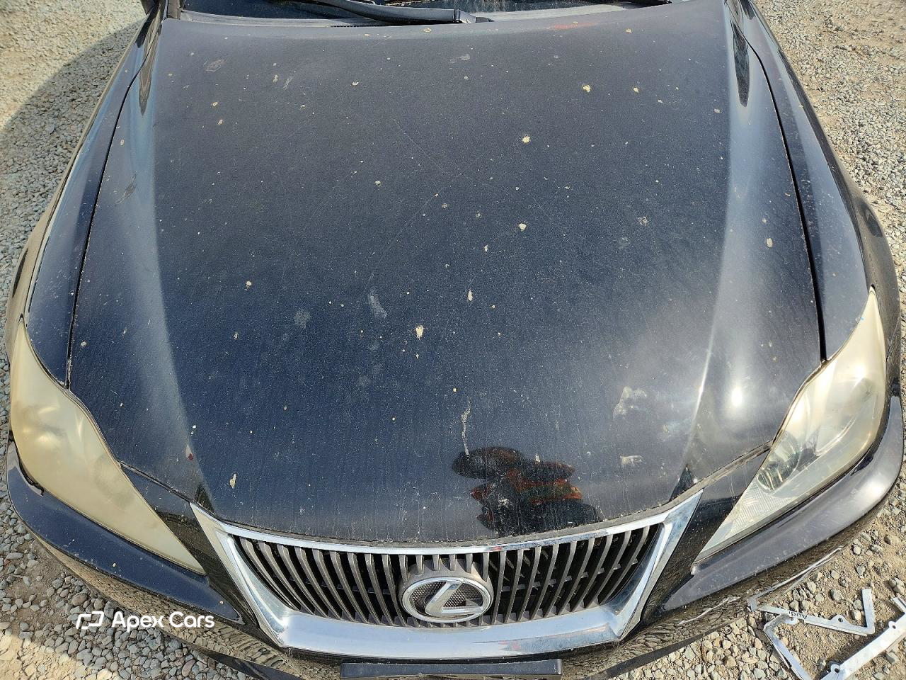 Lexus IS 2009