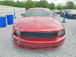 Ford Mustang 2007