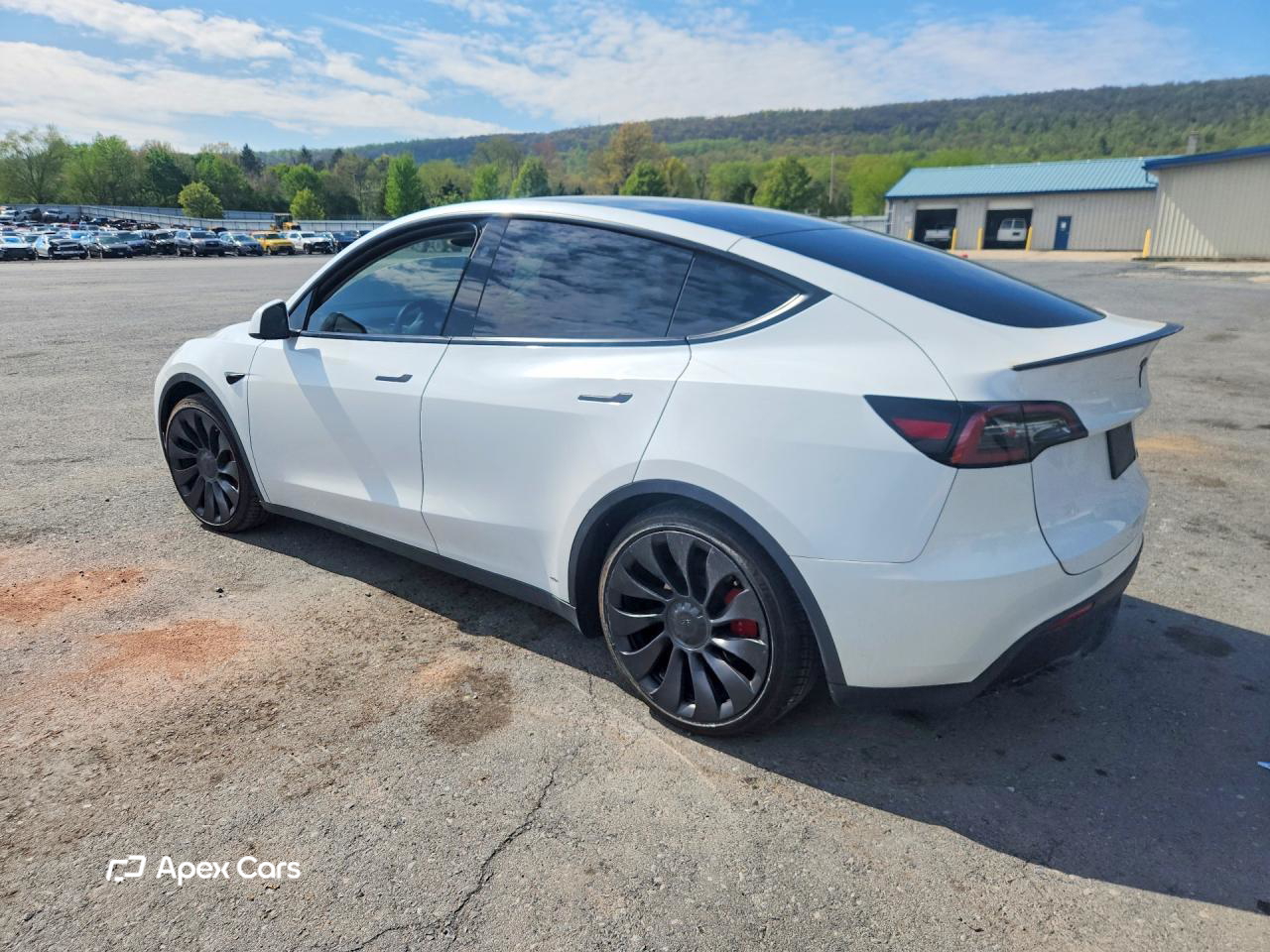 Tesla Model Y 2024