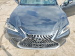 Lexus ES 2020