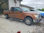 Ford F-150 2012