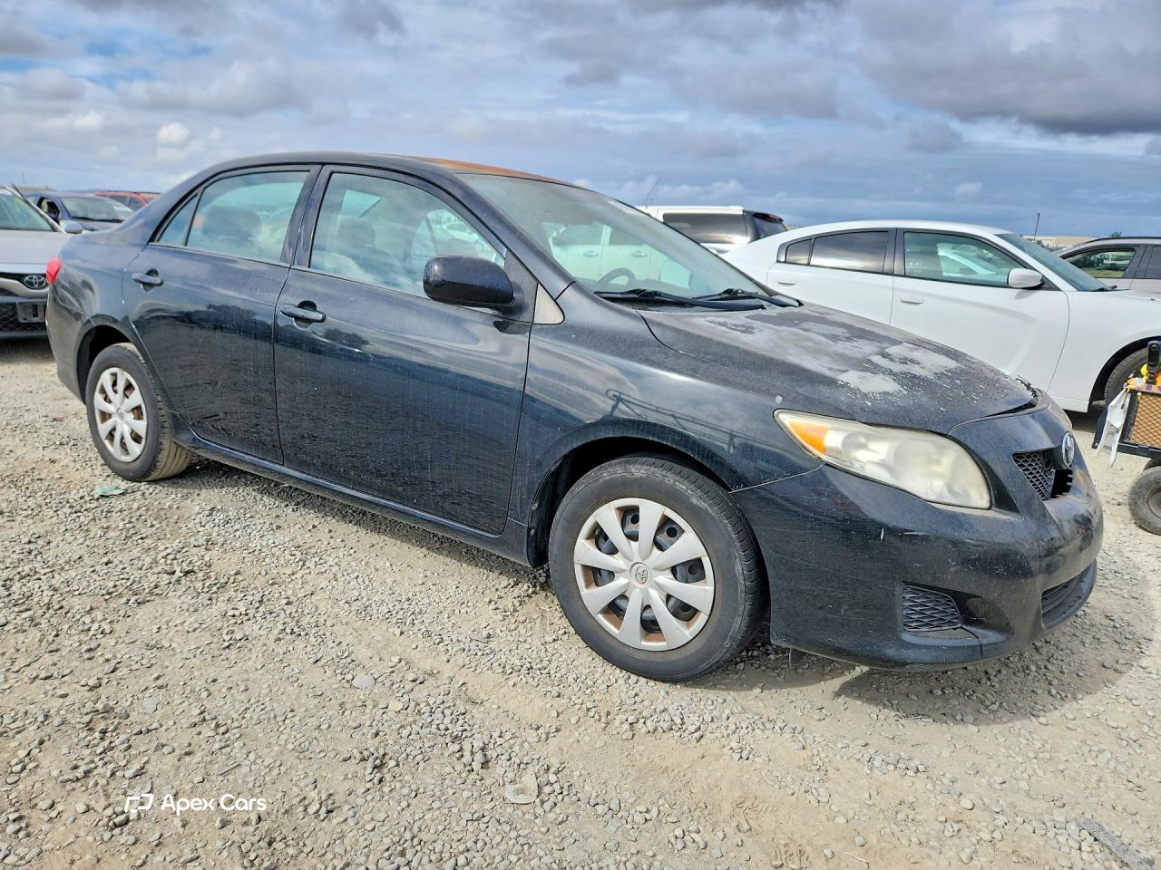 Toyota Corolla 2010