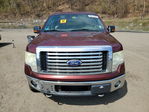 Ford F-150 2010
