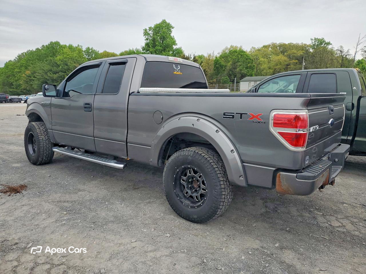 Ford F-150 2010