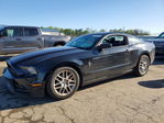 Ford Mustang 2014