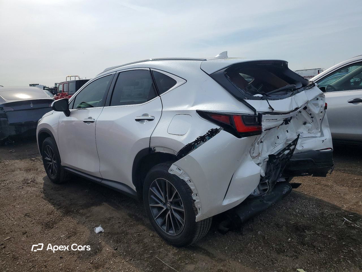 Lexus NX 2025