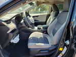 Toyota RAV 4 2019