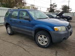Ford Escape 2006