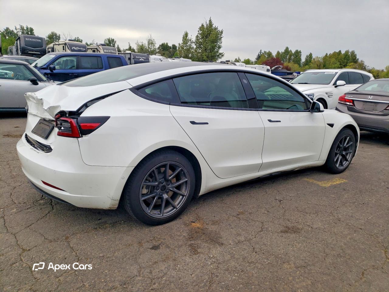 Tesla Model 3 2022