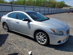 Nissan Maxima 2011