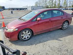 Honda Civic 2010