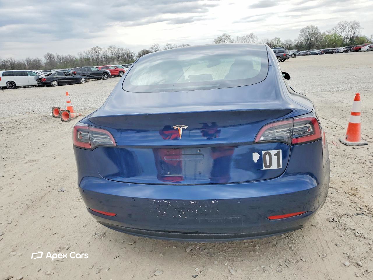 Tesla Model 3 2019