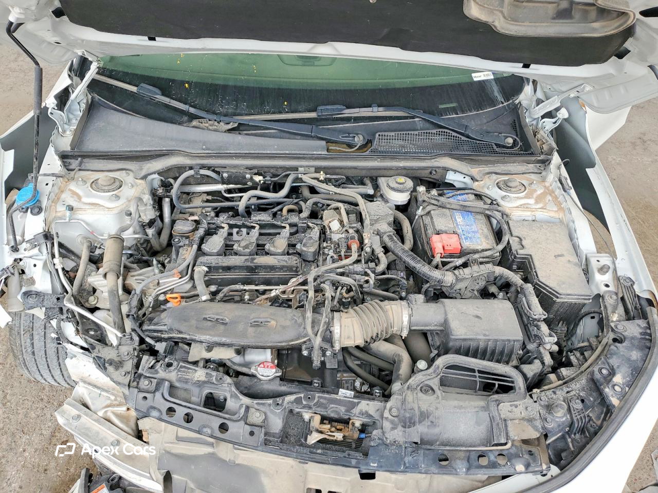 Honda Civic 2024