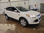 Ford Escape 2014