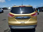 Ford Escape 2014