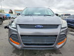 Ford Escape 2013