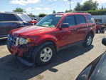 Ford Escape 2012