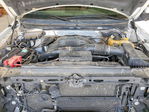 Ford F-150 2013