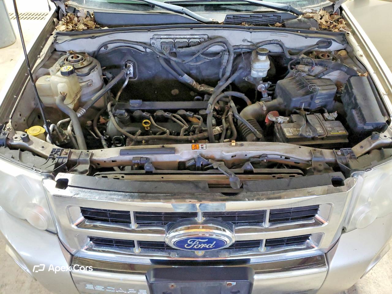 Ford Escape 2011
