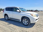Lexus GX 2011