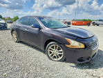 Nissan Maxima 2010