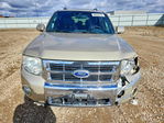 Ford Escape 2011