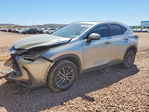 Lexus NX 2022