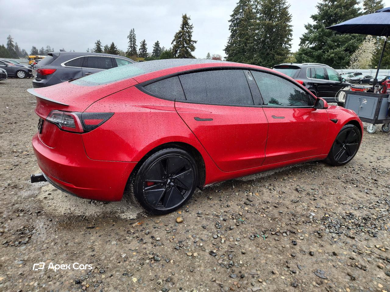 Tesla Model 3 2021