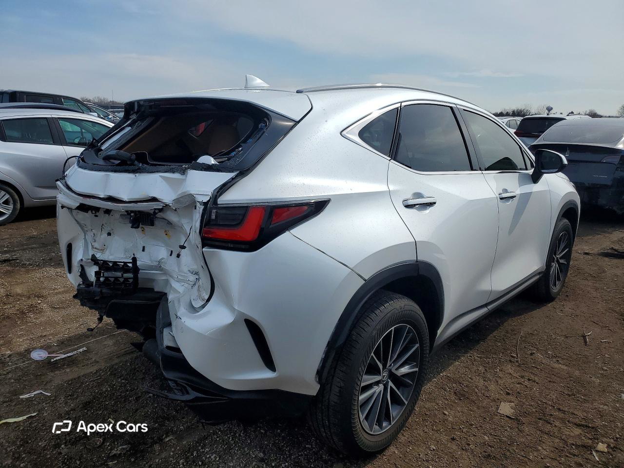 Lexus NX 2025