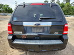 Ford Escape 2011