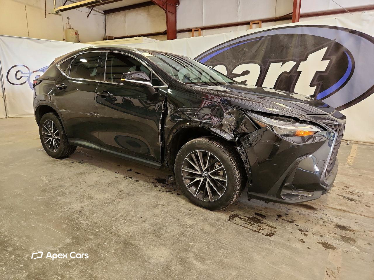 Lexus NX 2022