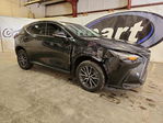 Lexus NX 2022
