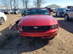 Ford Mustang 2005