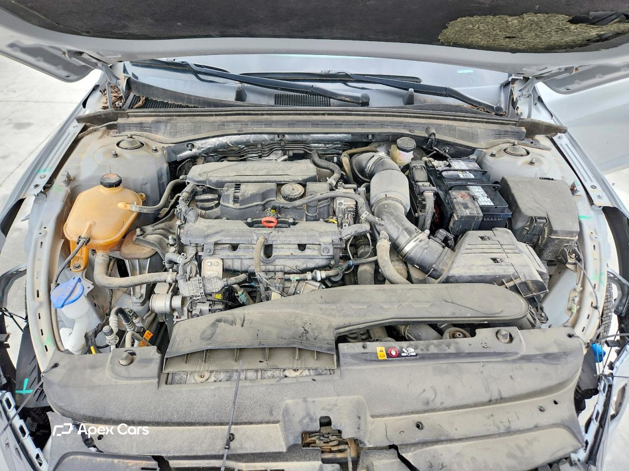 Kia K5 2024
